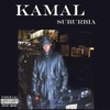 Picture for song 'Pimps & Hustlas' by artist 'Kamal'