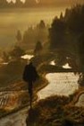 Picture for song 'homebound' by artist 'kannosuke'