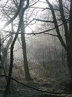 Picture for song 'A Wynter of Discontent' by artist 'Karmantra'