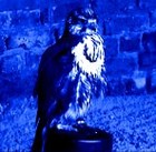 Picture for song 'Echoes Blue' by artist 'Karmantra'