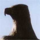 Picture for song 'Kaya Blue - Ambition Is Free.MP3' by artist 'Kaya Blue'