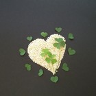 Picture for song 'Lucky' by artist 'Kelton Ree'