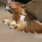 Picture for song 'Somehow Someway' by artist 'Kelton Ree'