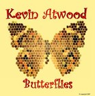 Picture for song 'Island Princess.mp3' by artist 'Kevin Atwood'