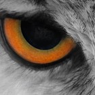 Picture for song 'Last Dance' by artist 'Kevo Productions'