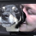 Picture for song 'old suv's the dogs and me me me' by artist 'kim southwick singer songwriter'