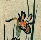 Picture for song 'Mystic Beauty' by artist 'Krsna Sounds'