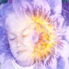 Picture for song 'little one' by artist 't polimeros'