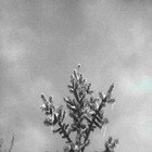 Picture for song 'itain't4savin'' by artist 'labbor'