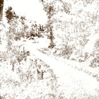 Picture for song 'three stages of deer' by artist 'labbor'