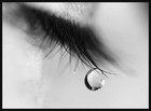 Picture for song 'I Weep' by artist 'Lady Crimson Rose'
