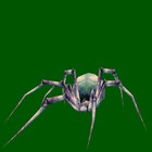 Picture for song 'White Widow' by artist 'Landerz'