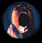 Picture for song 'The SmoothJazz Wall(B7-la ouache)' by artist 'LA OUACHE'