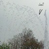 Picture for song 'Last Kiss... And She Must Go (Orchestral Version)' by artist 'LaoZi'