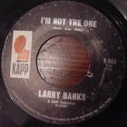Picture for song 'I'm Not The One by Larry Banks' by artist 'Larry and Jaibi'