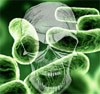 Picture for song 'Dead Bacteries (2005)' by artist 'LaughingSkull'