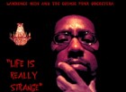 Picture for song 'Life Is Really Strange (Git Weird!!)' by artist 'Lawrence Wise And The Cosmic Funk Orchestra OSMOS'