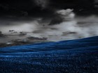 Picture for song 'No one will understand (NEW)' by artist 'LD The Storyteller'
