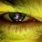 Picture for song 'unpaved' by artist 'lei benders'