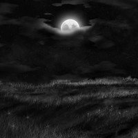 Picture for song 'times of change' by artist 'level229'