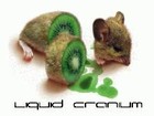 Picture for song 'Spirits of Kings' by artist 'Liquid Cranium'