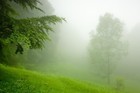 Picture for song 'Green Mist' by artist 'littlegreenman'