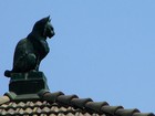 Picture for song 'The Cat Went onto the Roof (At Night)' by artist 'l'Oiseaux'