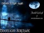 Picture for song 'Secrets ft. Lost Angel - Moonlight Serenade' by artist 'Lost Angel of Havik'