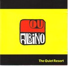 Picture for song 'Into My Head' by artist 'Lou Albino'