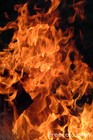 Picture for song 'Fire (Prod. by Vybe)' by artist 'Lou Genius'