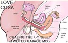 Picture for song 'Chasing The K-Y Jelly (Twisted Garage Mix)' by artist 'LoveCoSa'