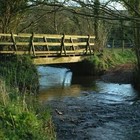 Picture for song 'Sweet River Flow' by artist 'Lyle Music'