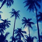 Picture for song 'Palmdale (3.6.13)' by artist 'MantraBeats'