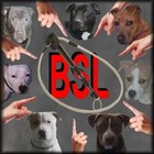Picture for song 'Hands off our Bullies' by artist 'Maria Daines'