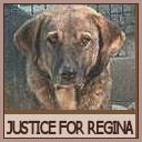 Picture for song 'Justice For Regina' by artist 'Maria Daines'