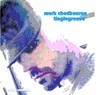 Picture for song 'Tinglegroove' by artist 'Mark Chadbourne'