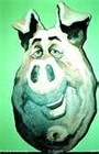 Picture for song 'Road Hog' by artist 'Mark S Greer'