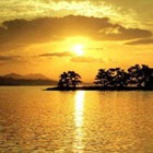 Picture for song 'Golden Sky' by artist 'Mark Wessels'