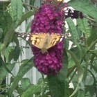 Picture for song 'SUBDUBTROM' by artist 'Marss MB'