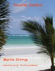 Picture for song 'TPM-07 Paradise jam(bo)' by artist 'martin stirrup'