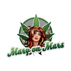 Picture for song 'Change up (Smooth Operations)' by artist 'Mary On Mars'