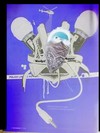 Picture for song 'This how I live NO SAMPLES _' by artist 'Masked Rapper Recordings'