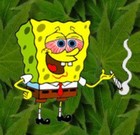 Picture for song 'Marijuana Rhapsody' by artist 'MC DEVIL MUMBAI'
