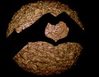 Picture for song 'Amazing grace(another song for my gurl)' by artist 'MecKropono'