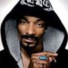 Picture for song 'Snoop Dogg Would Love This!' by artist 'medatsu'