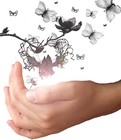 Picture for song 'Miracle' by artist 'Melodic Euphoria'