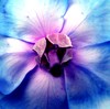 Picture for song 'Somewhere In Time ( Piano )' by artist 'Michael Jeannot'