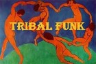 Picture for song 'Tribal Funk' by artist 'Michael Micara'
