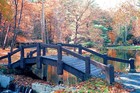 Picture for song 'Contemplation #14' by artist 'Michael Solomont Piano Improvisations'