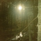 Picture for song 'autumn sun' by artist 'MikeSch'